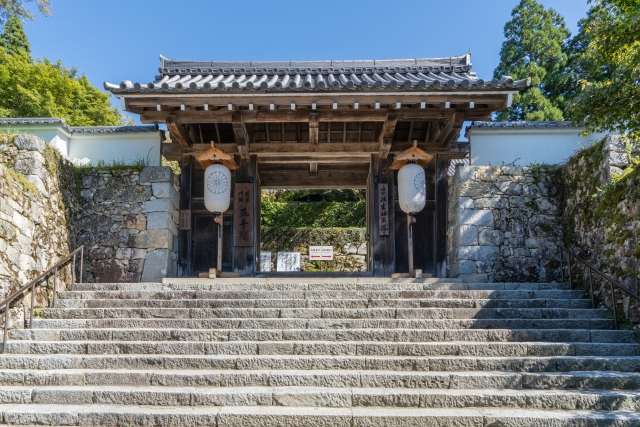 大原小中学校